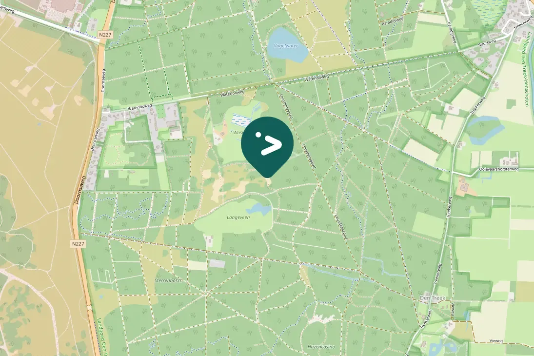 Gespotte Grote lijster