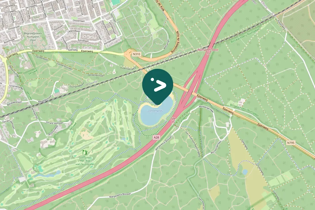 Gespotte Knobbelzwaan