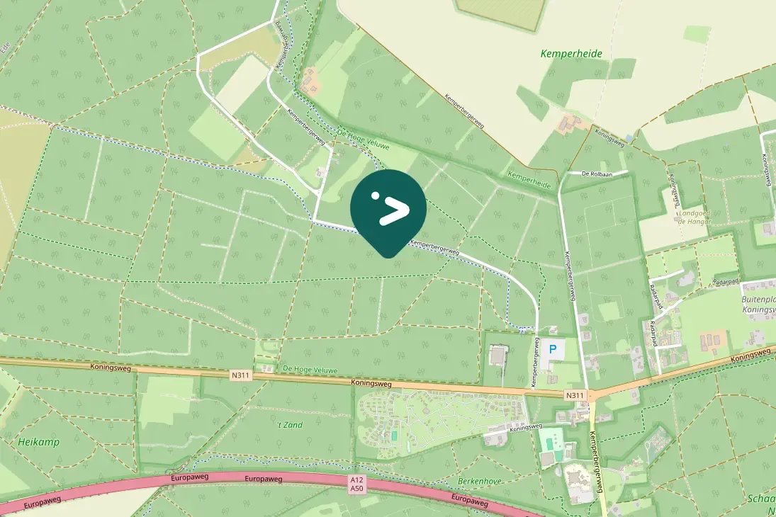 Gespotte Zwarte mees