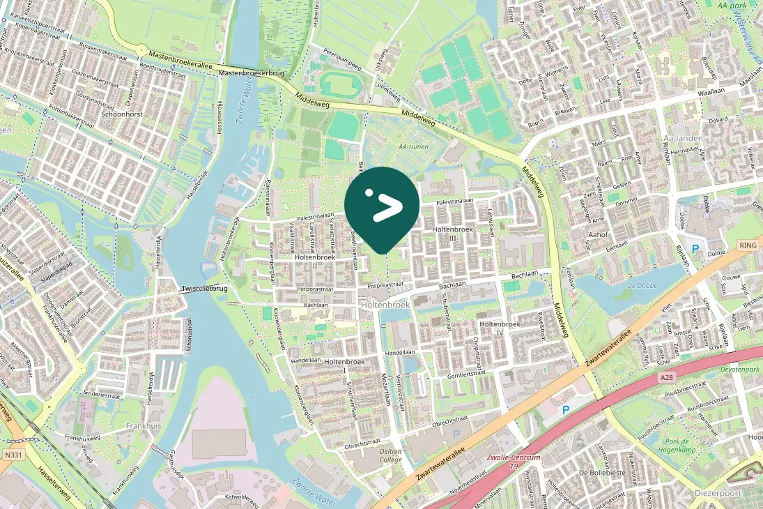 Gespotte Zwartkopmeeuw