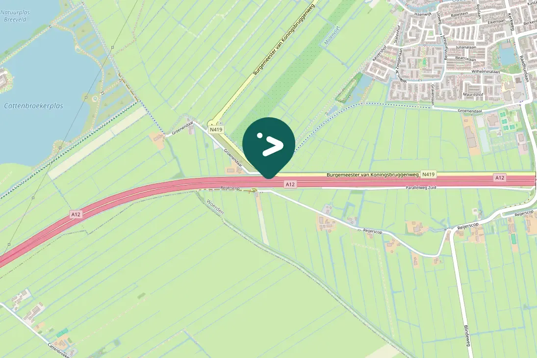 Gespotte Indische gans