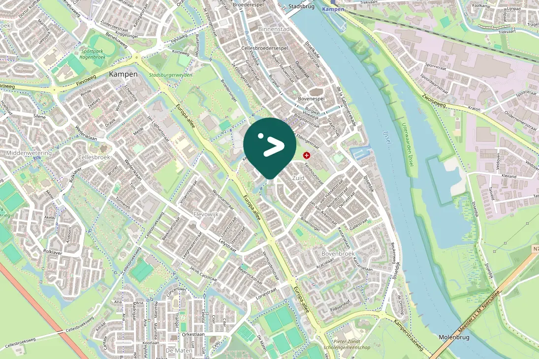 Gespotte Grote zaagbek