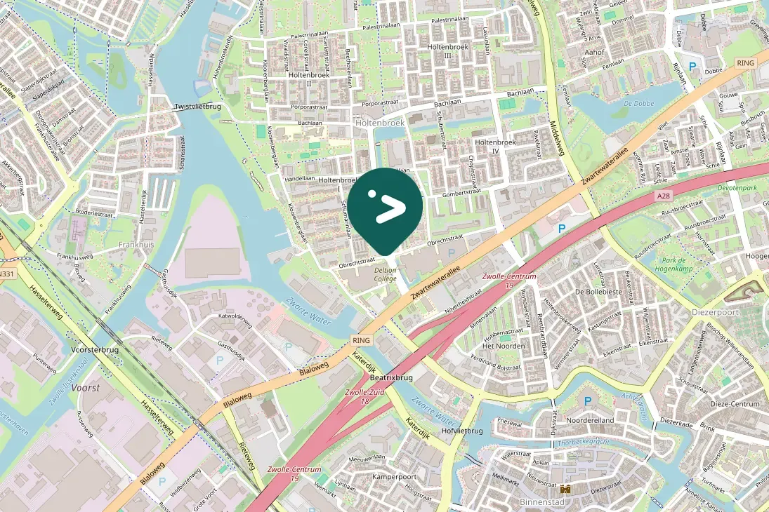 Gespotte Grote Canadese gans