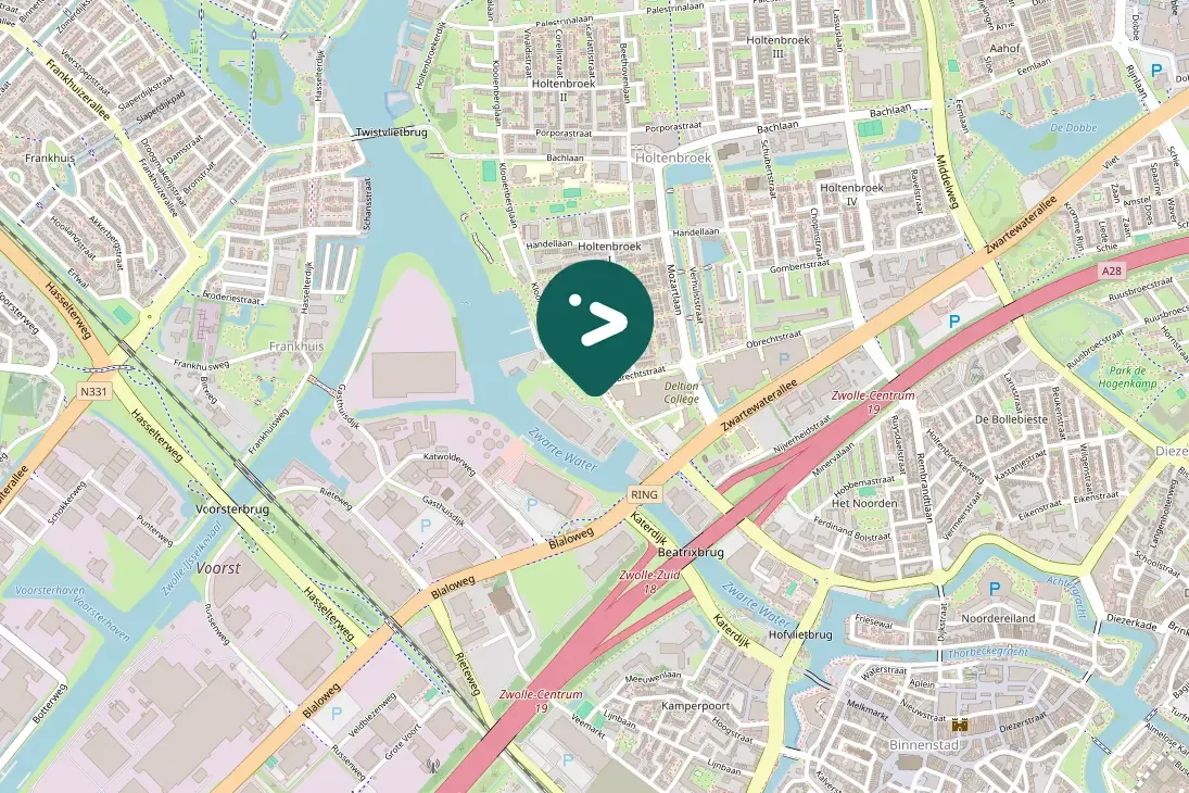 Gespotte Zwarte kraai