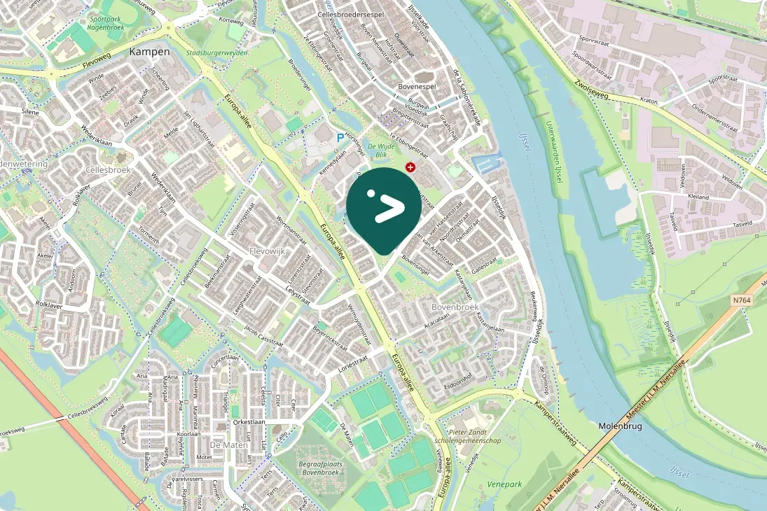 Gespotte Zilvermeeuw