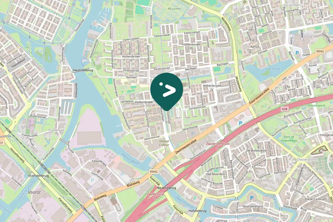 Gespotte Zwarte kraai