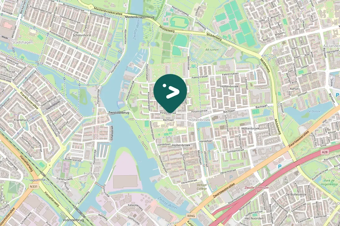 Gespotte Aalscholver