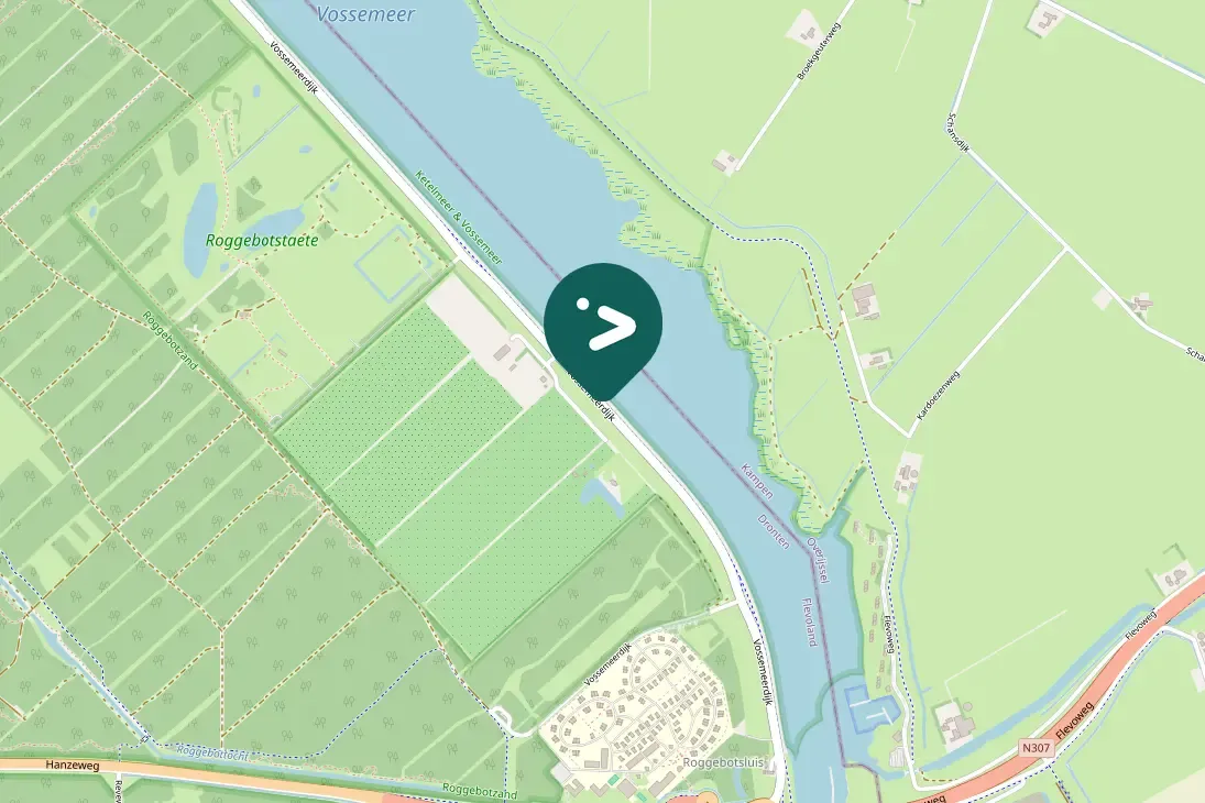 Gespotte Zwarte kraai