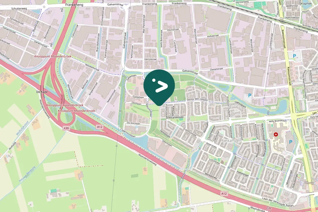 Gespotte Groene specht