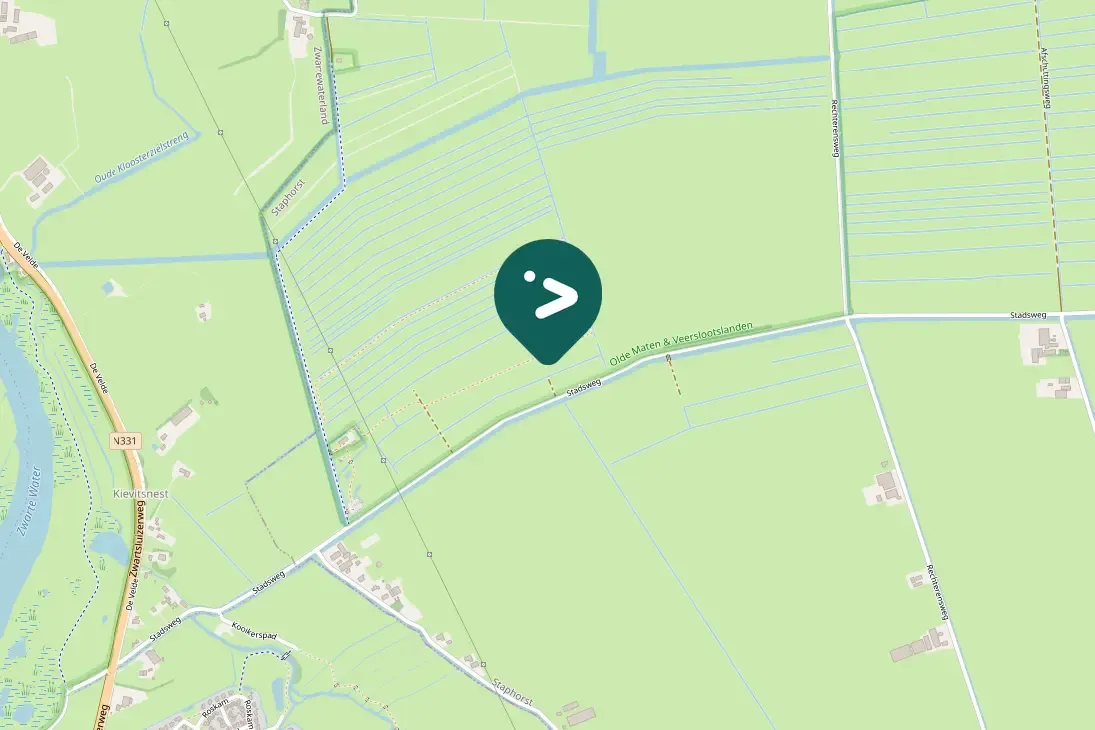 Gespotte Grote zilverreiger