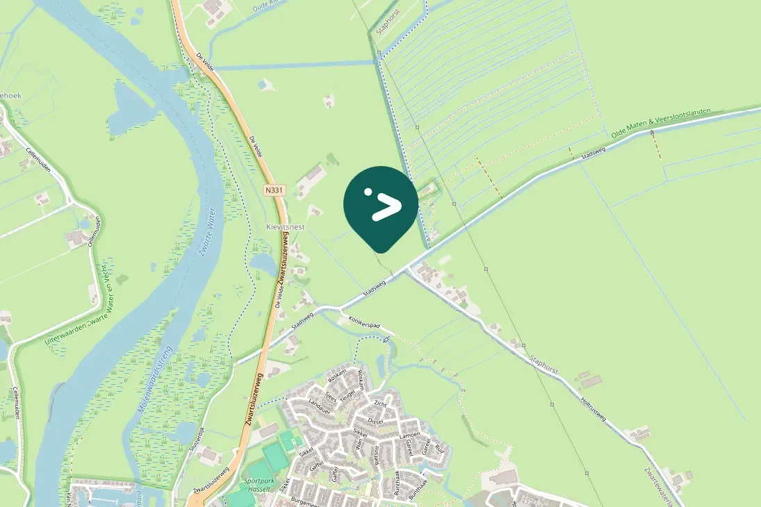 Gespotte Knobbelzwaan