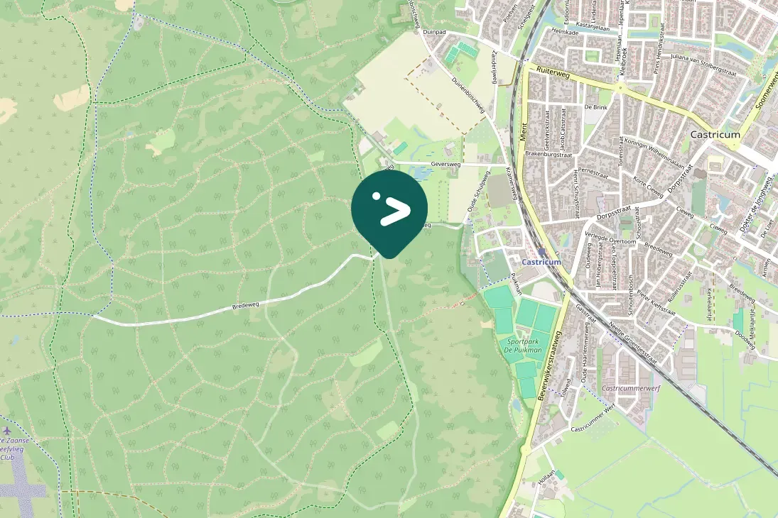 Gespotte Zwarte kraai