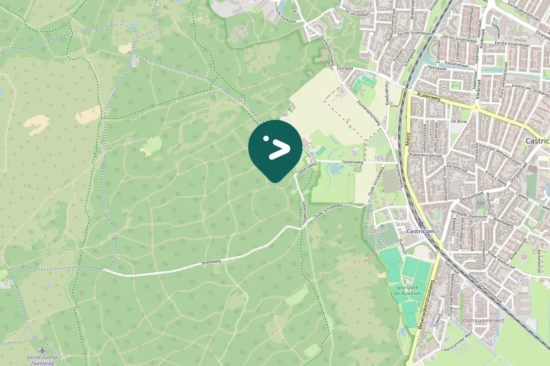 Gespotte Zanglijster