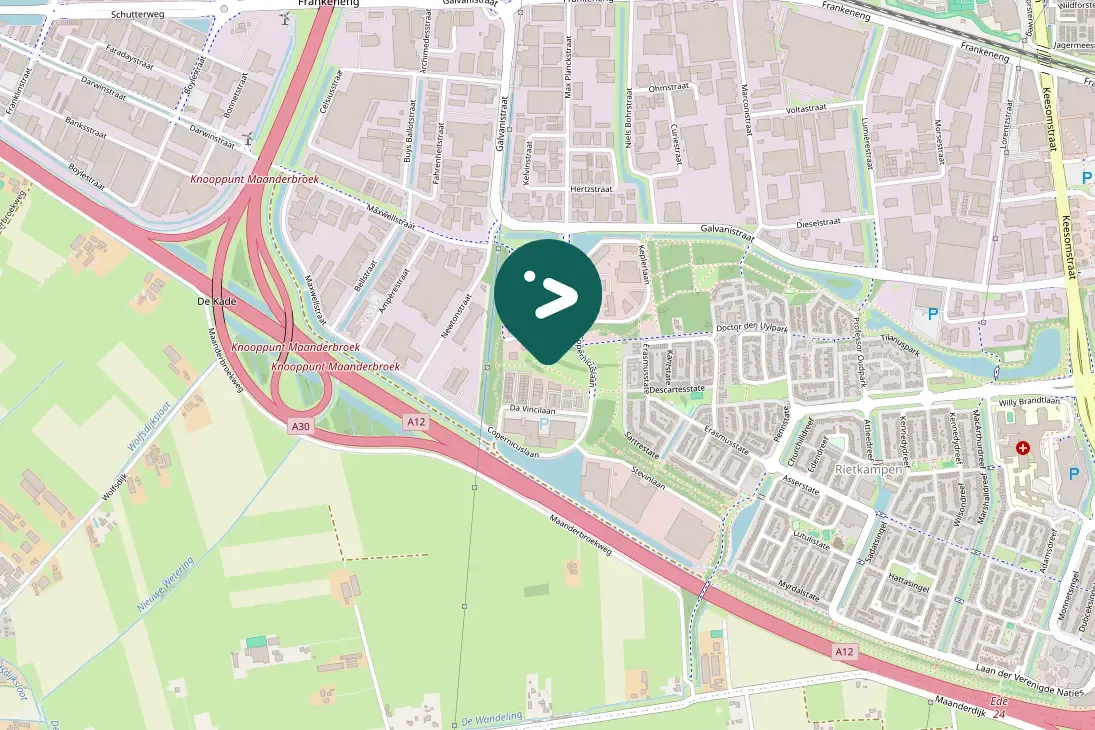 Spotted Gray Wagtail