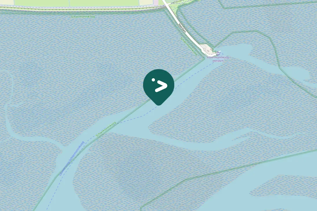 Gespotte Zilvermeeuw