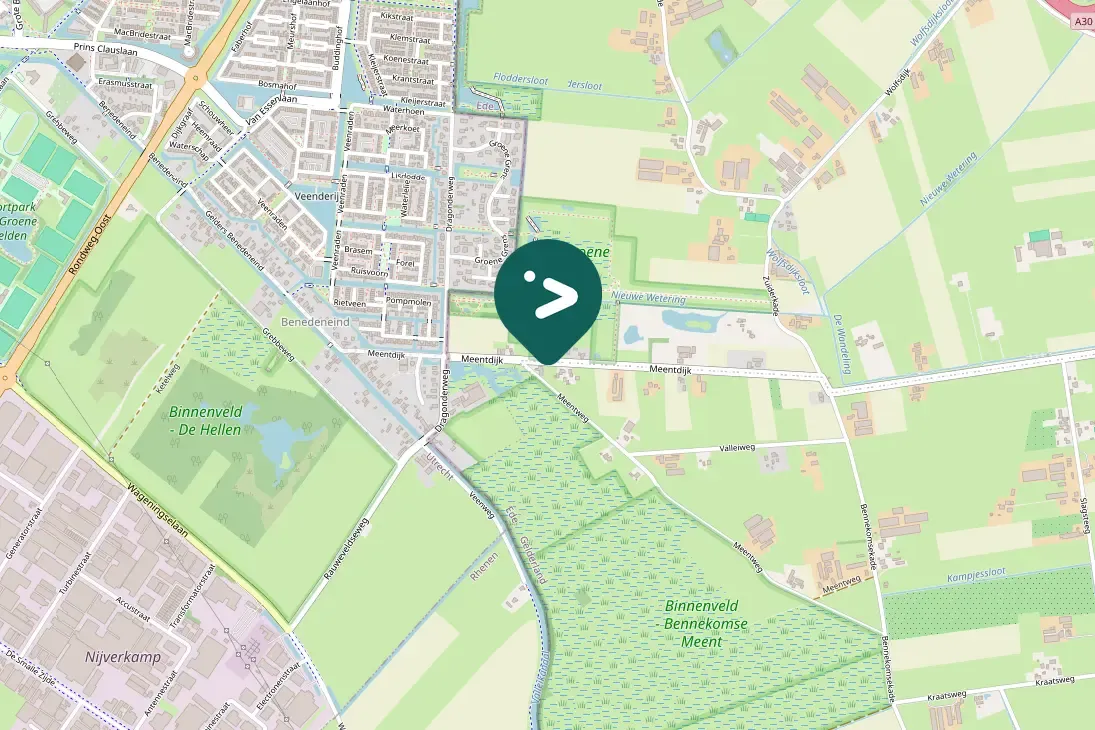 Spotted Eurasian Tree Sparrow