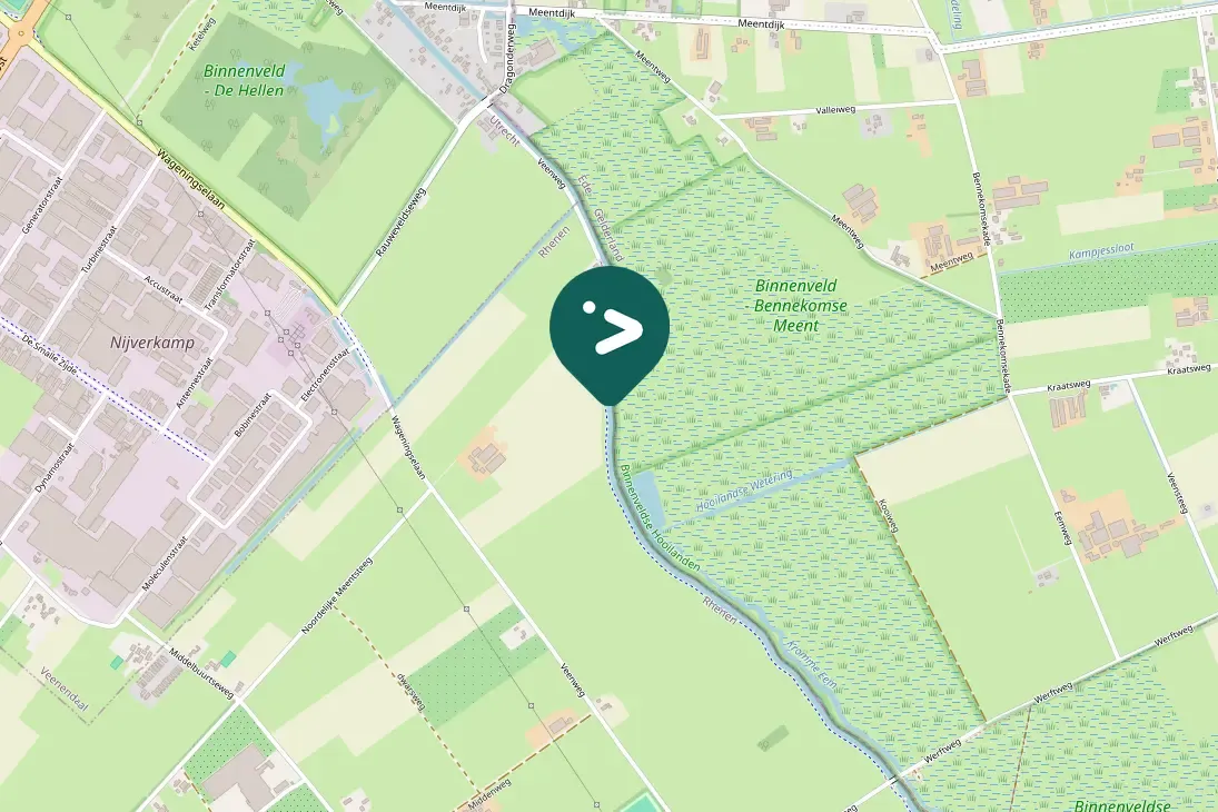 Spotted Eurasian Curlew