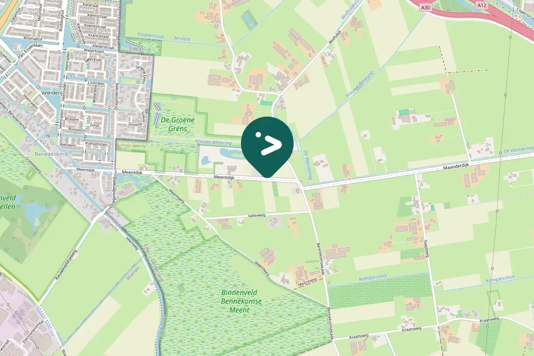 Spotted European Robin