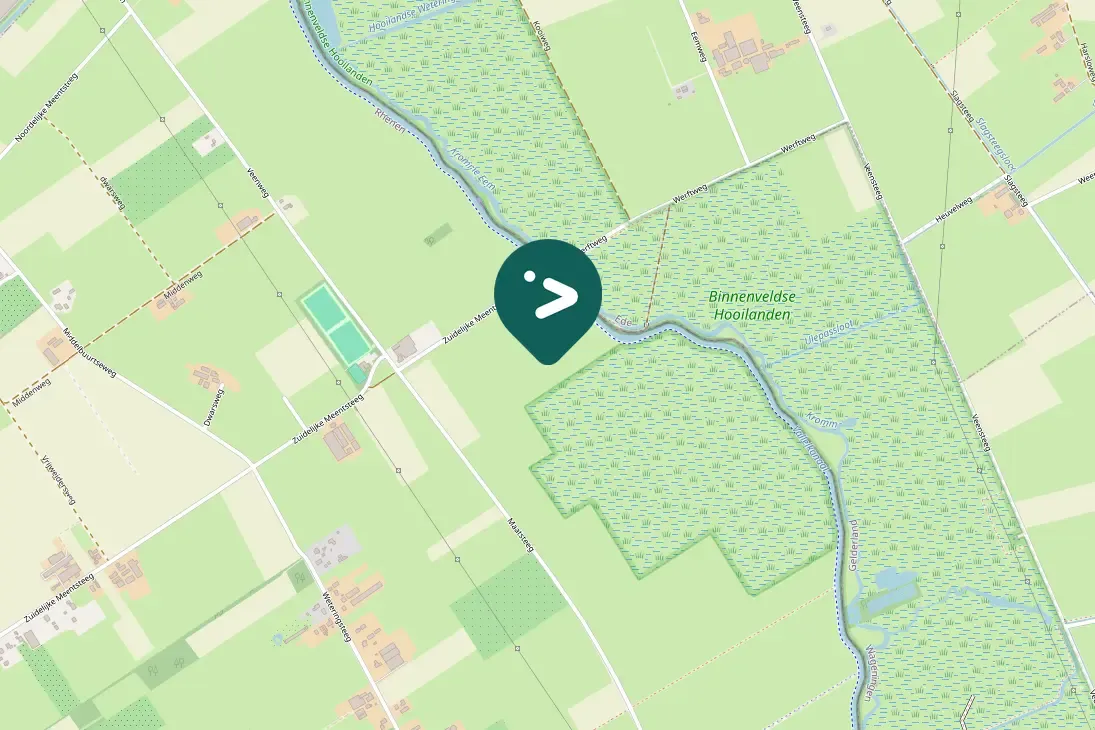 Spotted Greater White-fronted Goose