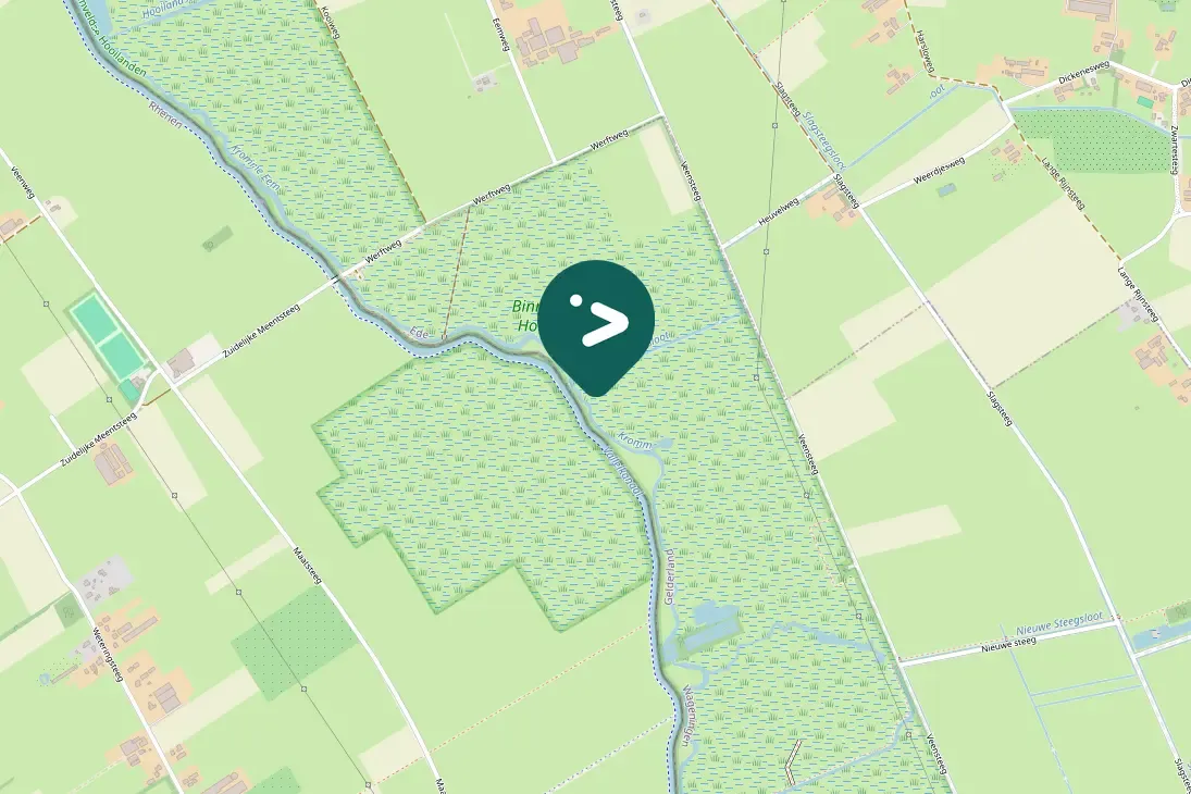 Spotted Meadow Pipit