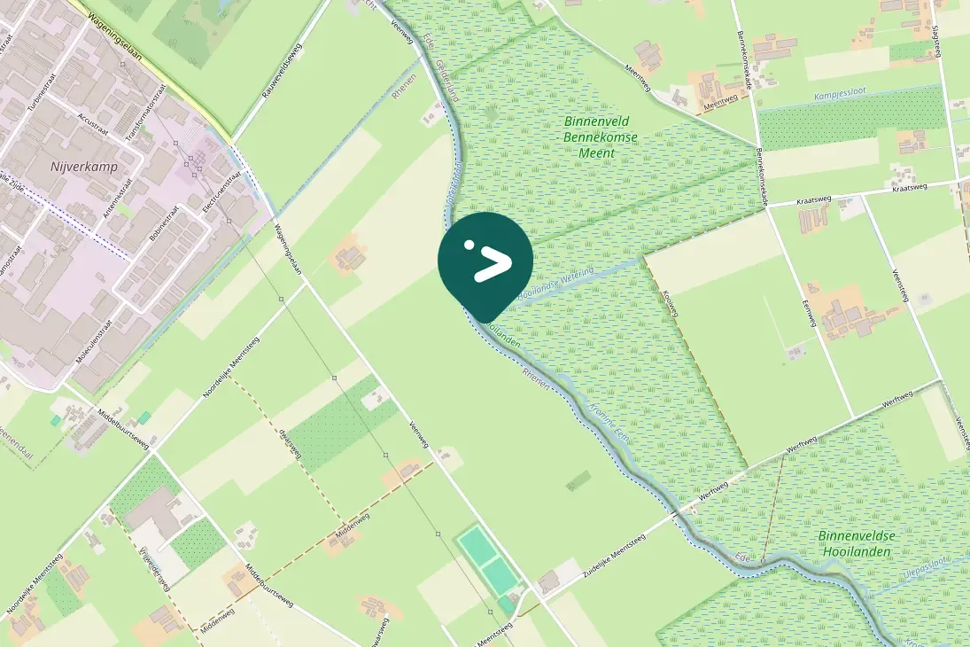 Spotted Great Crested Grebe