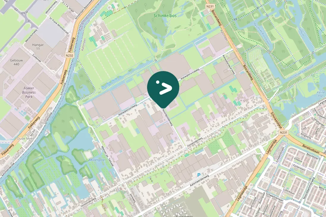 Gespotte Knobbelzwaan