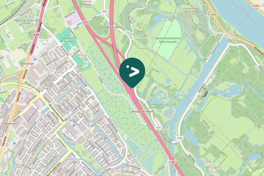 Gespotte Zwarte zwaan