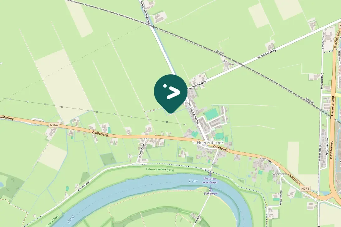 Gespotte Knobbelzwaan