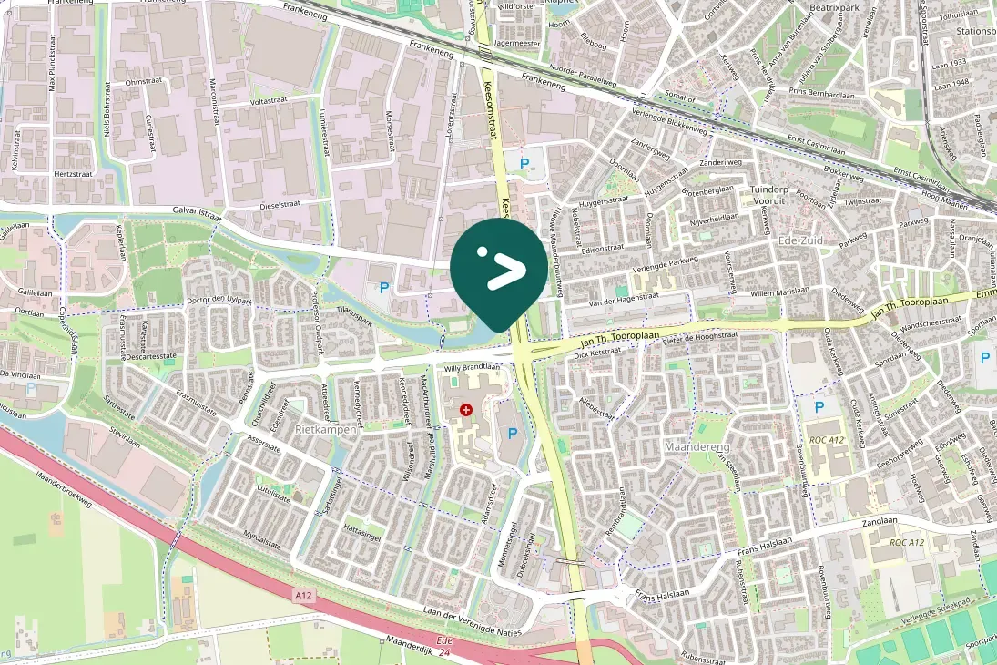 Spotted Black-headed Gull