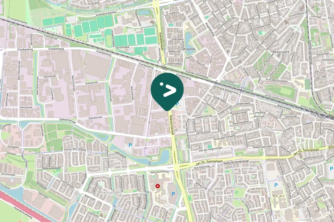 Spotted White Wagtail