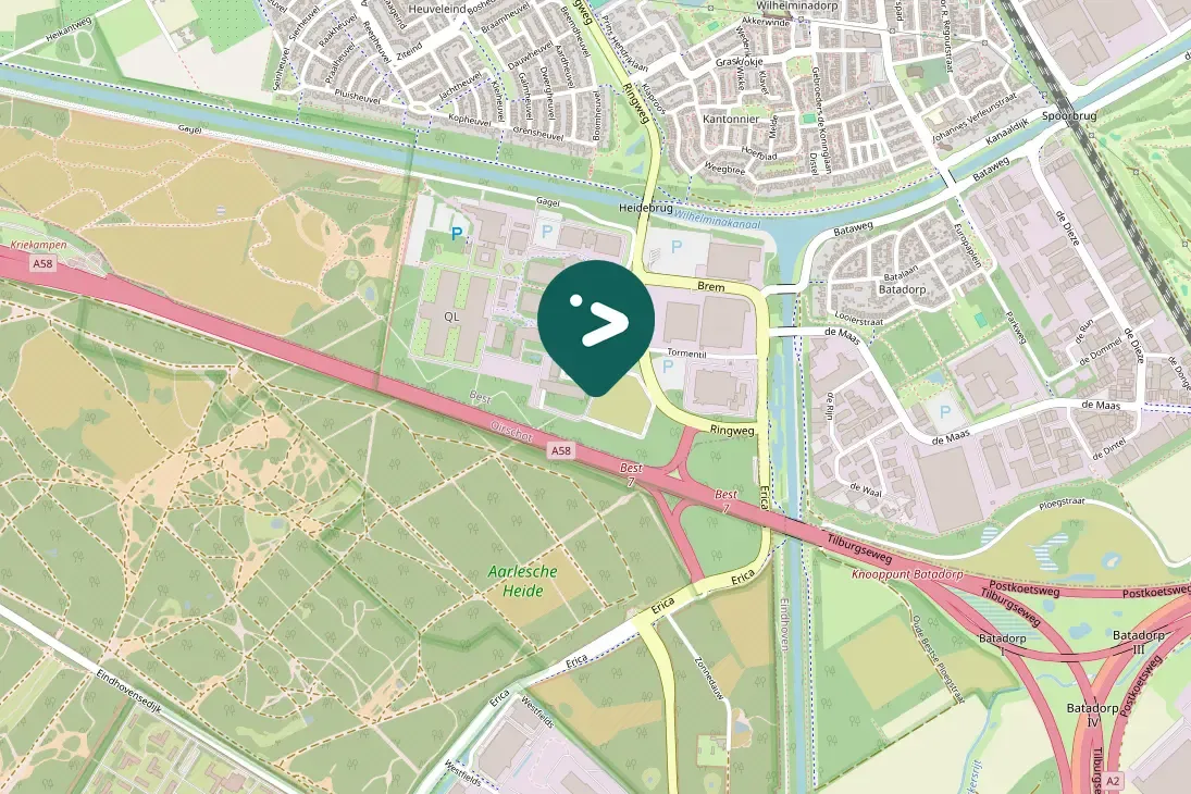 Gespotte Zanglijster