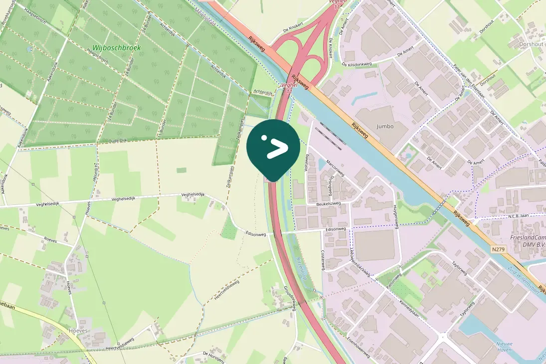 Gespotte Grauwe gans