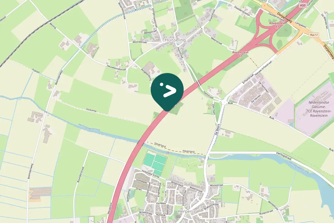 Gespotte Grote zilverreiger