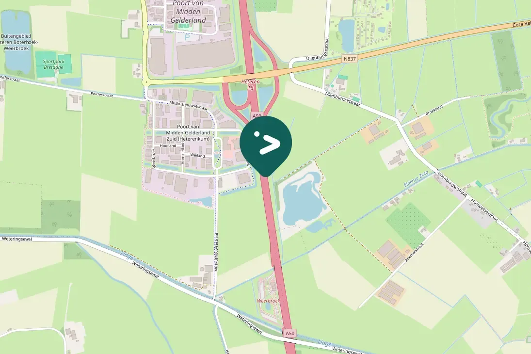 Gespotte Aalscholver