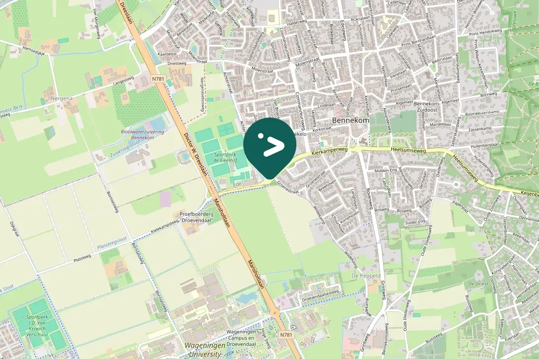 Spotted Eurasian Moorhen