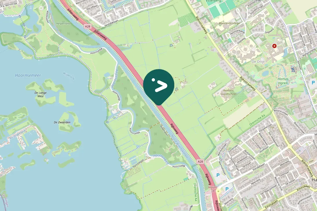 Spotted Canada Goose