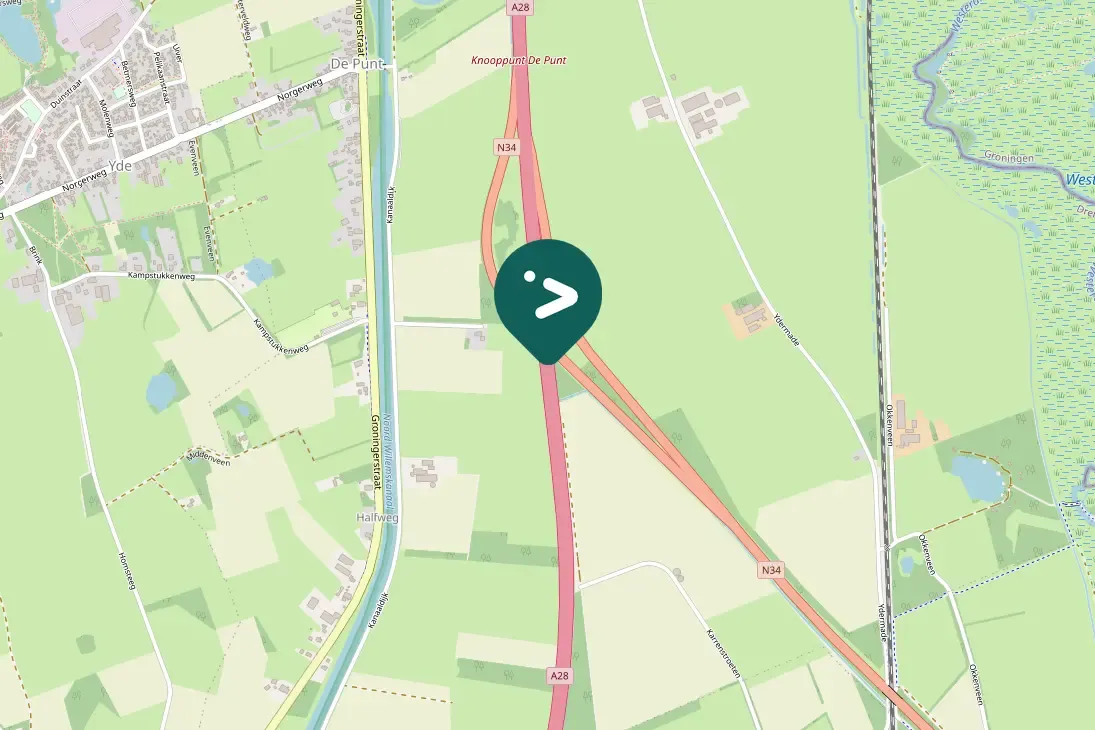 Gespotte Grote zilverreiger