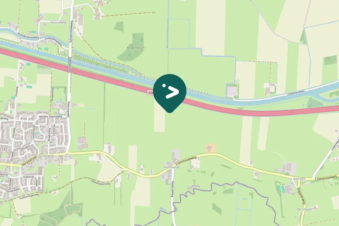 Gespotte Zwarte kraai