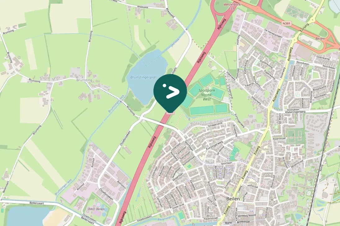 Gespotte Zwarte kraai