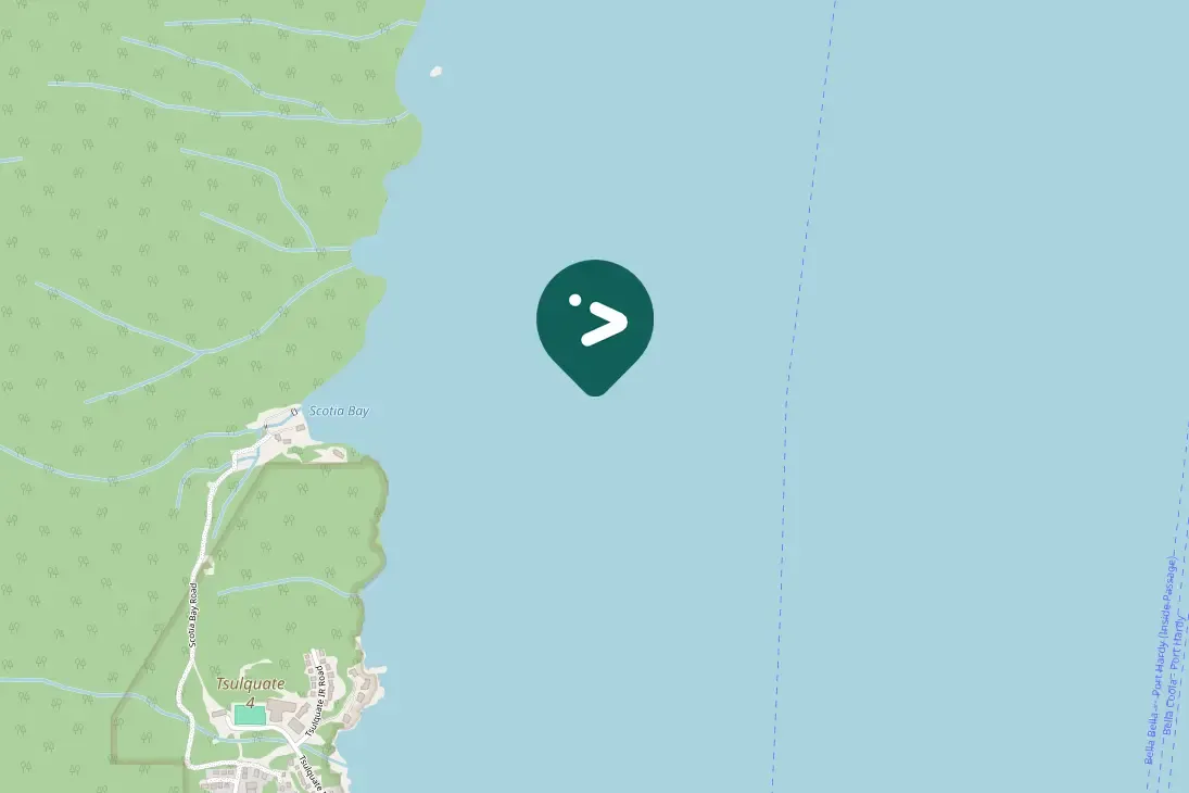 Gespotte Kleine geelpootruiter