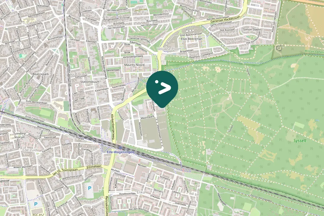 Spotted Eurasian Magpie