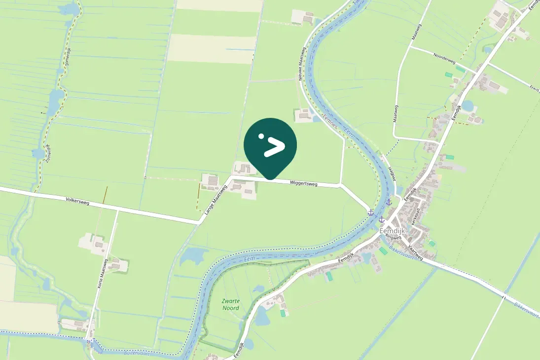 Gespotte Witte kwikstaart