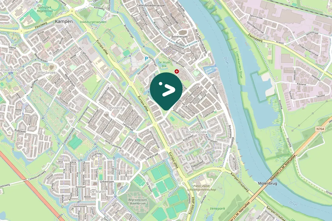 Gespotte Aalscholver