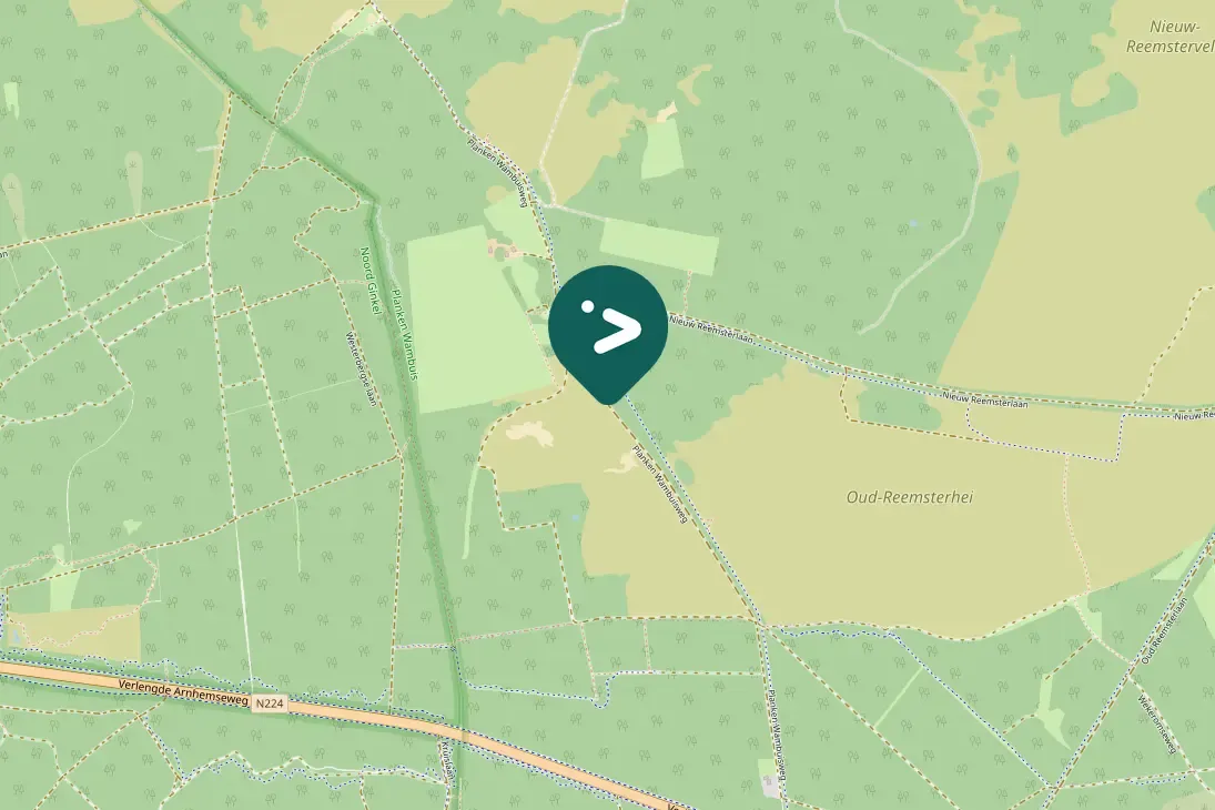 Gespotte Roodborsttapuit