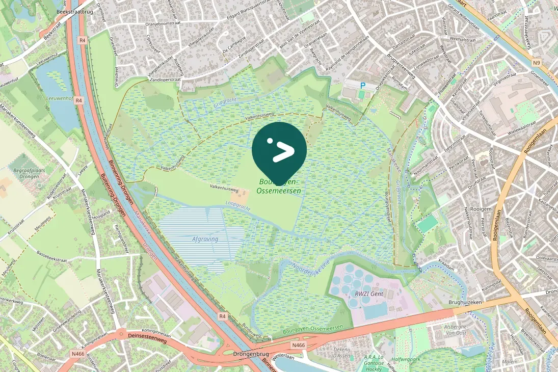 Gespotte Grote Canadese gans