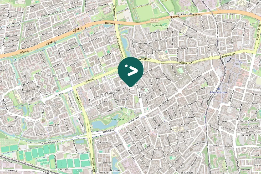 Spotted Eurasian Blackbird