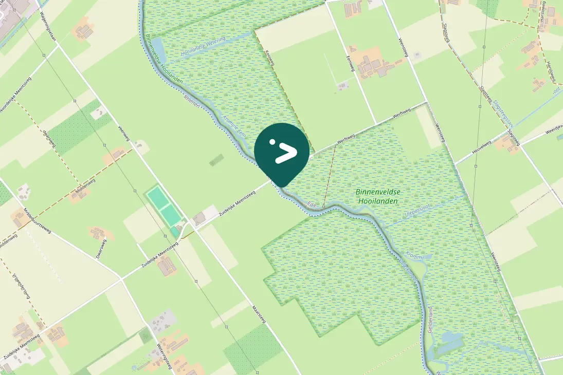 Spotted Eurasian Moorhen