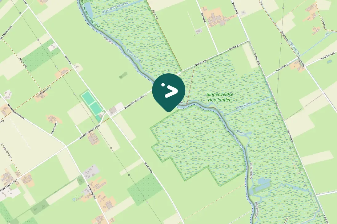 Spotted Graylag Goose