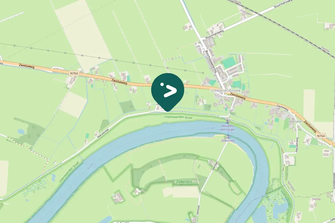 Gespotte Knobbelzwaan