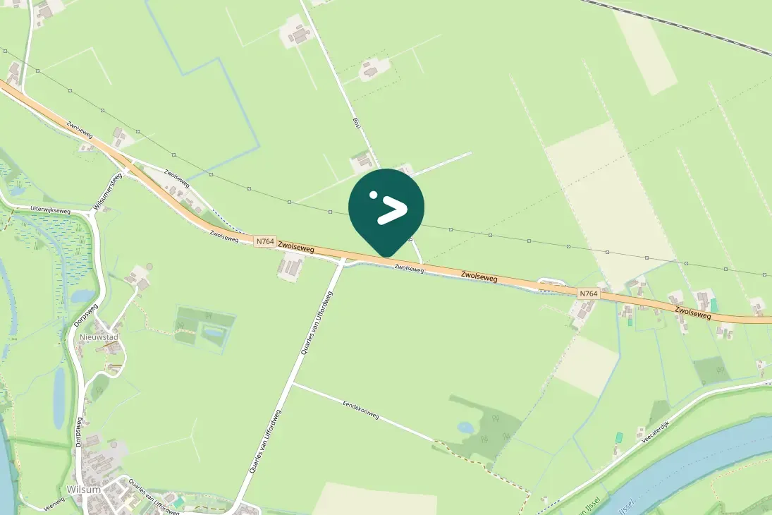 Gespotte Knobbelzwaan